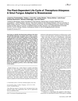 The Plant-Dependent Life Cycle of Thecaphora Thlaspeos: a Smut Fungus Adapted to Brassicaceae