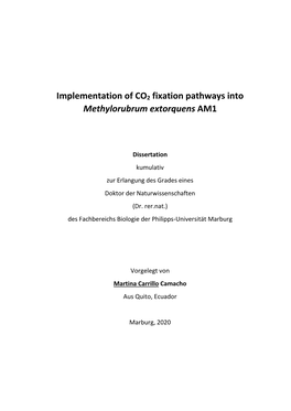 Implementation of CO2 Fixation Pathways Into Methylorubrum Extorquens AM1