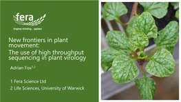 The Use of High Throughput Sequencing in Plant Virology