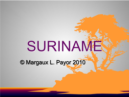 SURINAME © Margaux L