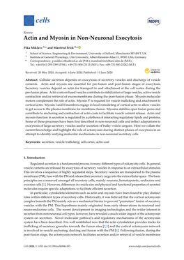 Actin and Myosin in Non-Neuronal Exocytosis