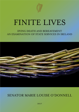 Finite Lives Dying Death and Bereavement an Examination of State Services in Ireland