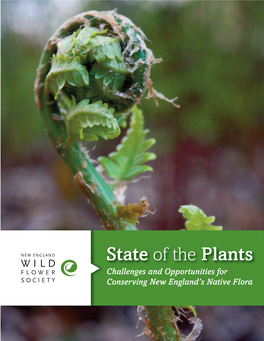 State of the Plants: Challenges and Opportunities for Conserving New England's Native Flora