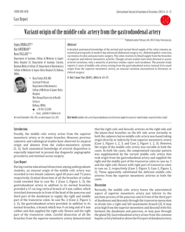 Variant Origin of the Middle Colic Artery from the Gastroduodenal Artery