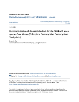 Recharacterization of Stenaspis Audinet-Serville, 1834 with a New Species from Mexico (Coleoptera: Cerambycidae: Cerambycinae: Trachyderini)