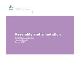 Assembly and Annotation