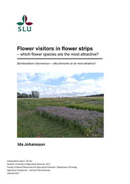 Flower Visitors in Flower Strips – Which Flower Species Are the Most Attractive?