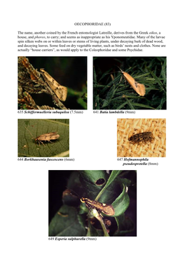 Cornish Microlepidoptera Part 4.Pdf