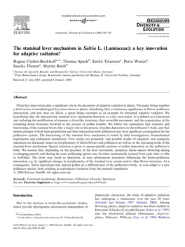 (Lamiaceae): a Key Innovation for Adaptive Radiation?