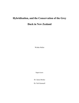 Hybridisation, and the Conservation of the Grey Duck in New Zealand