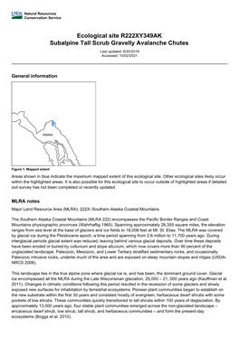 Ecological Site R222XY349AK Subalpine Tall Scrub Gravelly Avalanche Chutes