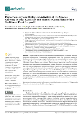 Phytochemistry and Biological Activities of Iris Species Growing in Iraqi Kurdistan and Phenolic Constituents of the Traditional Plant Iris Postii