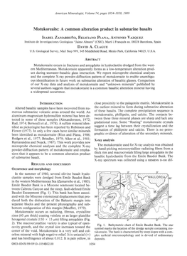 Motukoreaite: a Common Alteration Product in Submarine Basalts