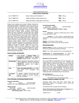 Tubby Protein Antibodies Related Material Available From