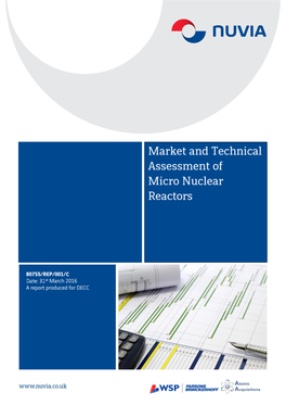 Market and Technical Assessment of Micro Nuclear Reactors