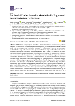 Patchoulol Production with Metabolically Engineered Corynebacterium Glutamicum