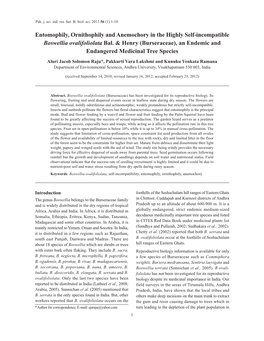 Entomophily, Ornithophily and Anemochory in the Highly Self-Incompatible Boswellia Ovalifoliolata Bal