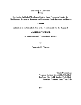 Panayiotis Masters Thesis