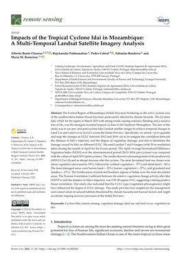 Impacts of the Tropical Cyclone Idai in Mozambique: a Multi-Temporal Landsat Satellite Imagery Analysis