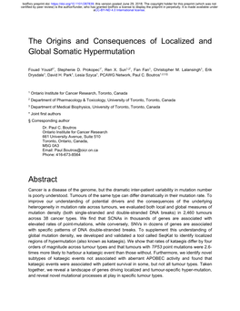 The Origins and Consequences of Localized and Global Somatic Hypermutation