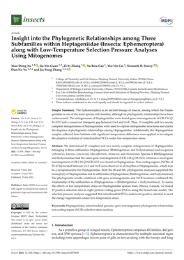 Insight Into the Phylogenetic Relationships Among Three