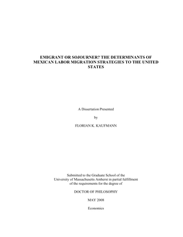 The Determinants of Mexican Labor Migration Strategies to the United States