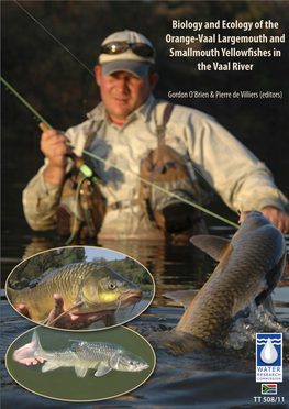 Biology and Ecology of the Orange-Vaal Largemouth and Smallmouth Yellowfishes in the Vaal River
