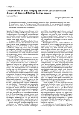 Observations on Diet, Foraging Behaviour, Vocalisations and Displays of Spangled Cotinga Cotinga Cayana Leonardo Chaves Cotinga 16 (2001): 103– 104