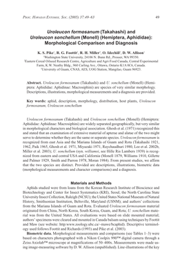 Uroleucon Formosanum (Takahashi) and Uroleucon Sonchellum (Monell) (Hemiptera, Aphididae): Morphological Comparison and Diagnosis