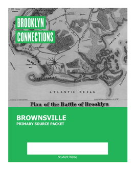 Brownsville Primary Source Packet