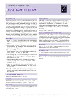 Datasheet Blank Template