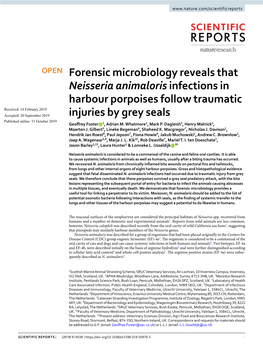 Forensic Microbiology Reveals That Neisseria Animaloris Infections In