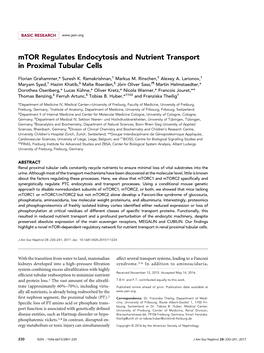 Mtor Regulates Endocytosis and Nutrient Transport in Proximal Tubular Cells