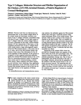 NH2-Terminal Domain, a Putative Regulator of Corneal Fibrillogenesis Thomas E Linsenmayer,* Eileen Gibney,* Frank Igoe,* Marion K