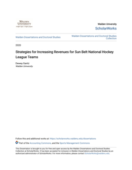 Strategies for Increasing Revenues for Sun Belt National Hockey League Teams