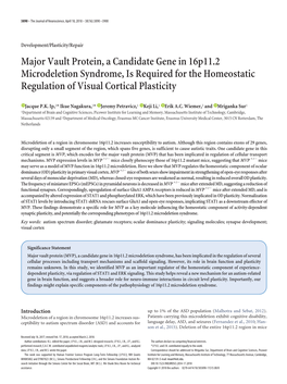 Major Vault Protein, a Candidate Gene in 16P11.2 Microdeletion Syndrome, Is Required for the Homeostatic Regulation of Visual Cortical Plasticity