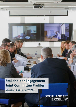 Stakeholder Engagement Joint Committee Profiles Version 2.6 (Nov 2020) Council Composition
