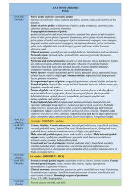 ANATOMY 2020/2021 Pelvis