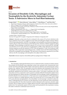 Invasion of Dendritic Cells, Macrophages and Neutrophils by the Bordetella Adenylate Cyclase Toxin: a Subversive Move to Fool Host Immunity