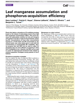 Leaf Manganese Accumulation and Phosphorus-Acquisition Efficiency