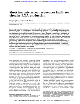 Short Intronic Repeat Sequences Facilitate Circular RNA Production