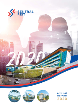 ANNUAL REPORT 2020 Company No