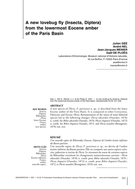 A New Lovebug Fly (Insecta, Diptera) from the Lowermost Eocene Amber of the Paris Basin