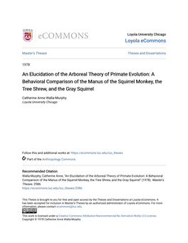 An Elucidation of the Arboreal Theory of Primate Evolution: a Behavioral Comparison of the Manus of the Squirrel Monkey, the Tree Shrew, and the Gray Squirrel