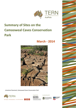 Summary of Sites on the Camooweal Caves Conservation Park