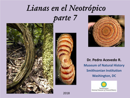 Lianas Neotropicales, Parte 7
