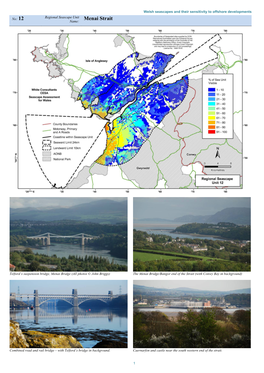 Menai Strait Name