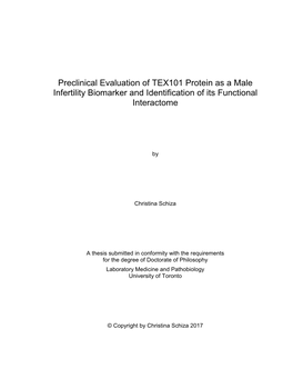 Preclinical Evaluation of TEX101 Protein As a Male Infertility Biomarker and Identification of Its Functional Interactome