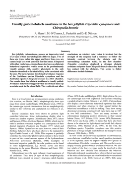 Visually Guided Obstacle Avoidance in the Box Jellyfish Tripedalia Cystophora and Chiropsella Bronzie A