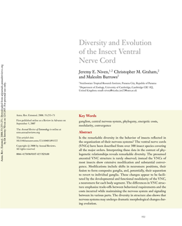 Diversity and Evolution of the Insect Ventral Nerve Cord